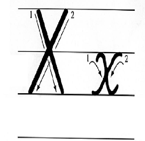 锦Wn?U3礎?湙{x潔?V~X麃Q?沁?E孰s?O?枹